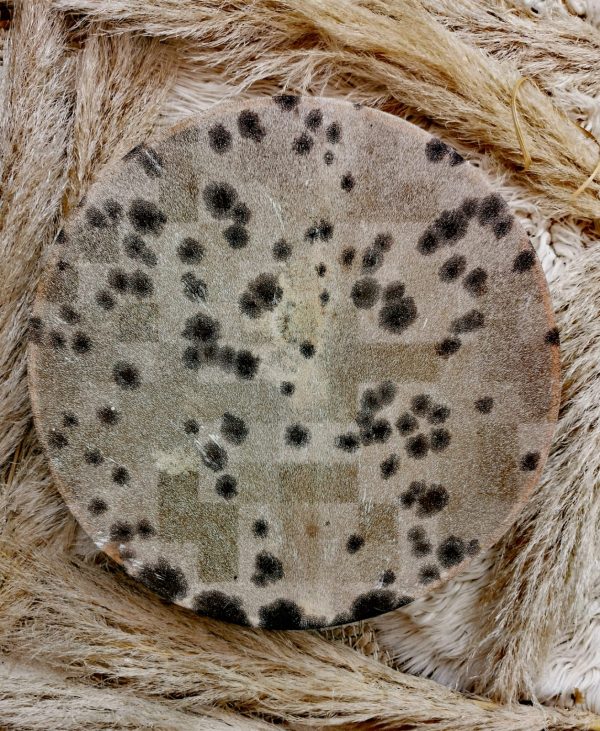 Tambour Chamanique 40cm – Image 2